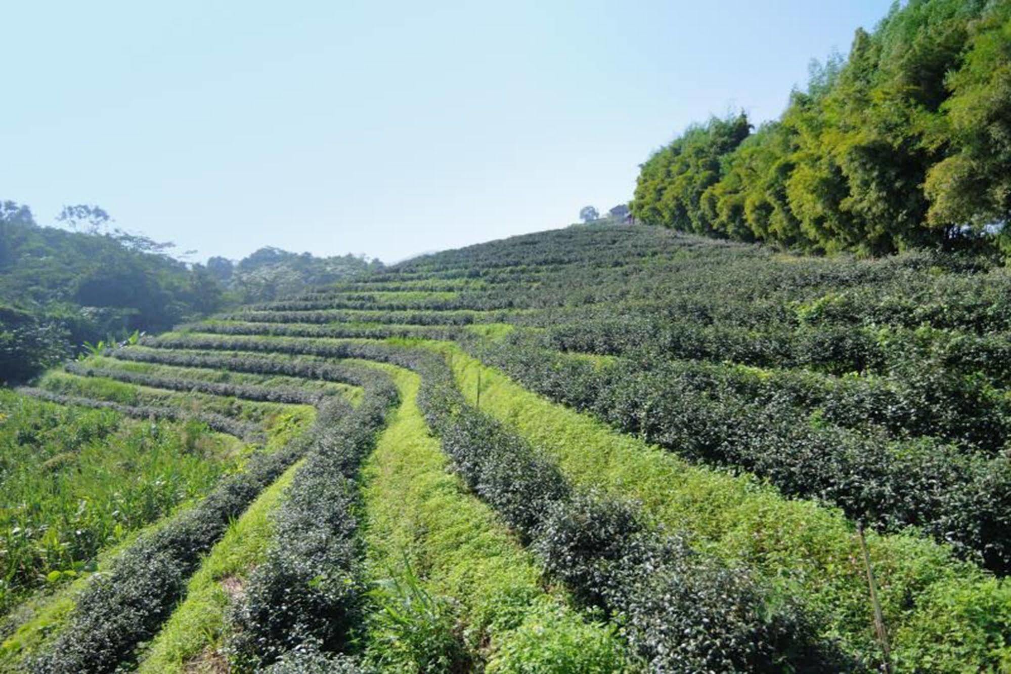 Chiang Rai Valley Resort @Doi Hom Fha Mae Chan エクステリア 写真